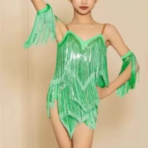 새로운 라틴 퍼포먼스 댄스 드레스 여성 섹시 야외 볼룸 - Outdoor Sport Dress 리뷰 및 가격