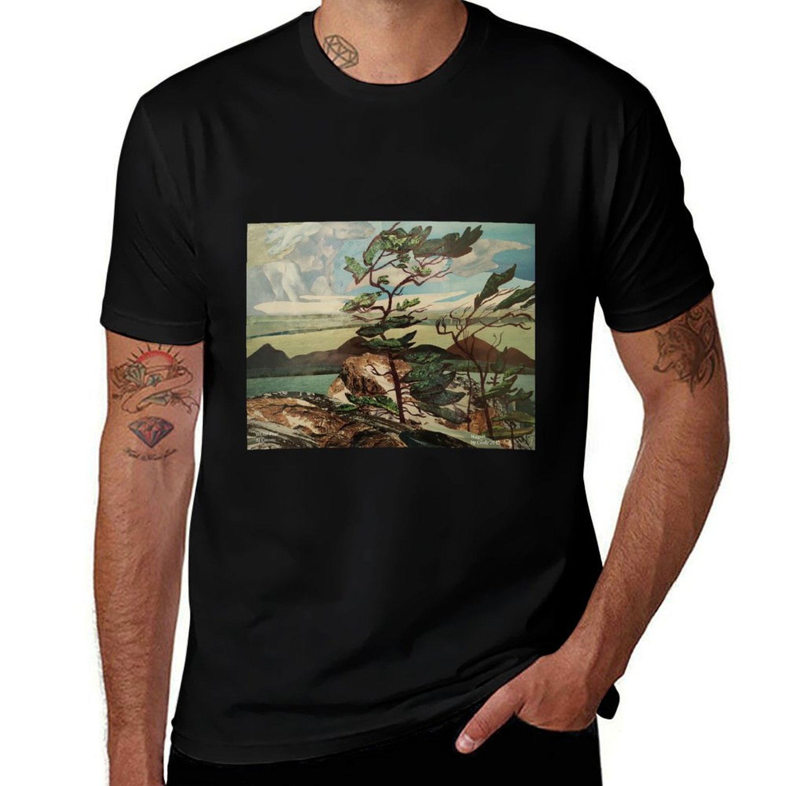 Landscape, Group of Seven, Whi - Outdoor Sportsman Group 리뷰 및 가격