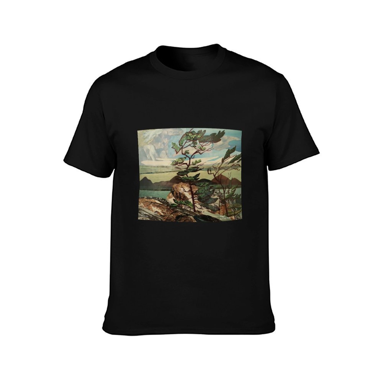 Landscape, Group of Seven, Whi - Outdoor Sportsman Group 리뷰 및 가격