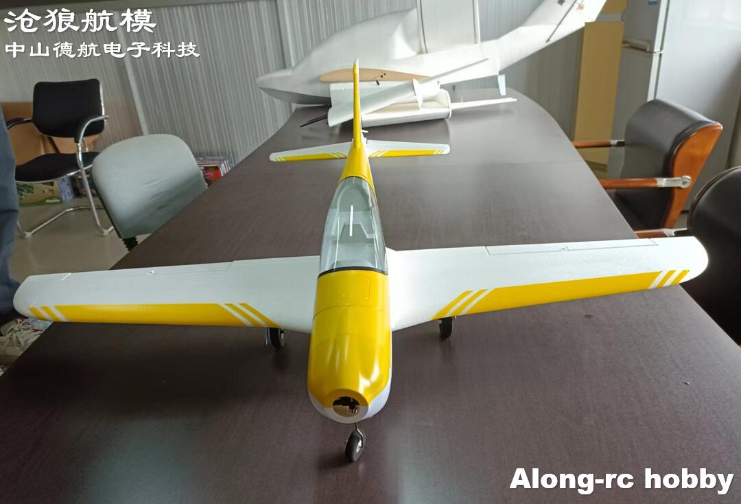 RC EPO 폼 비행기 스포츠 에어로바틱 RC 비행기  - Outdoor Sport Hobbies 리뷰 및 가격