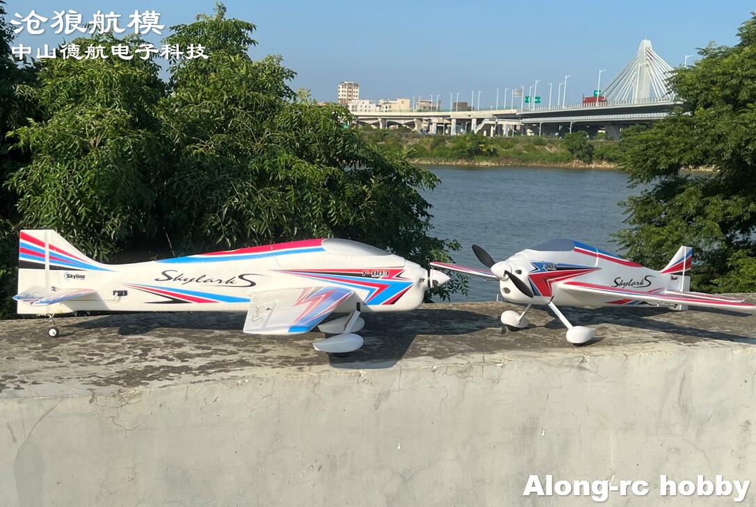 F803 F3A Skylarks 1000mm 날개 길이 - Outdoor Sport Hobbies 리뷰 및 가격